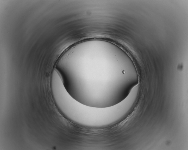 X0000100371273200807031854