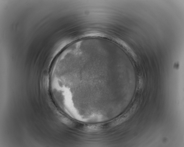 X0000100371274200807031854