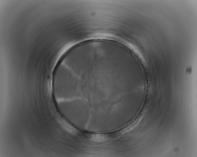 X0000100371275200807031854