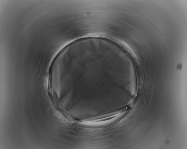 X0000100371276200807031854