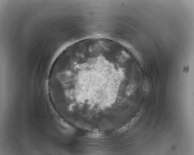 X0000100371278200807031854