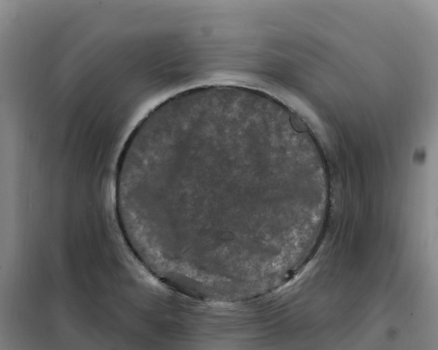 X0000100371280200807031854