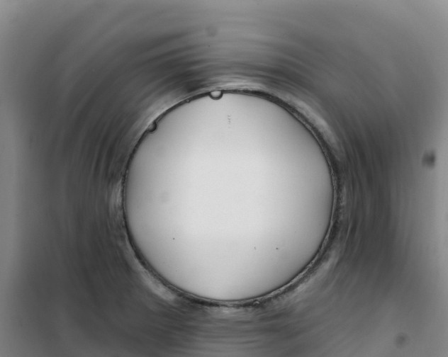 X0000100371281200807031853