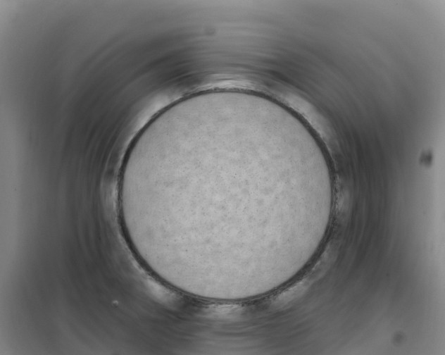 X0000100371282200807031853