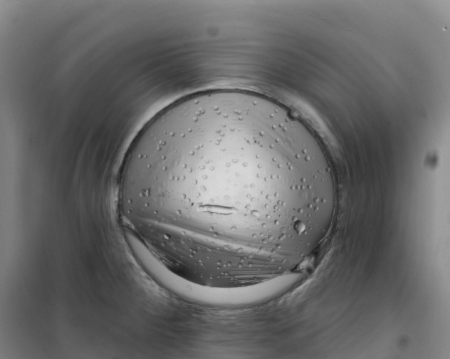 X0000100371284200807031853