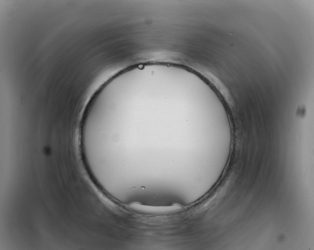 X0000100371285200807031853