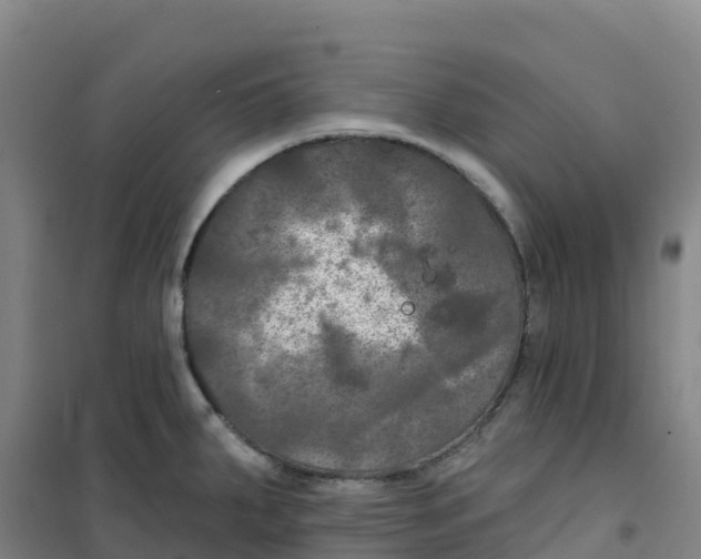 X0000100371287200807031853