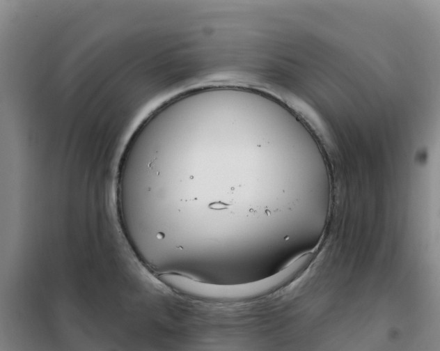 X0000100371288200807031853