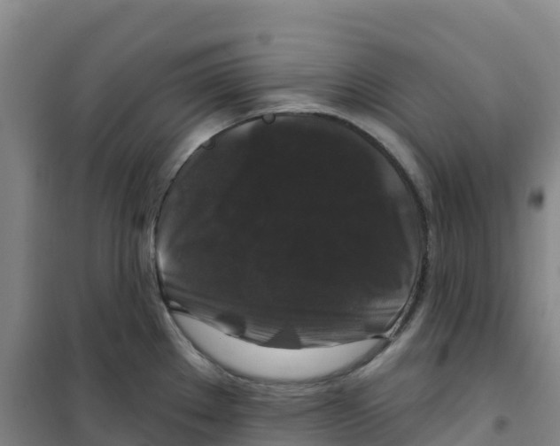 X0000100371289200807031853