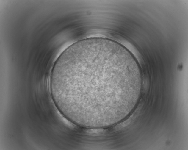 X0000100371290200807031853