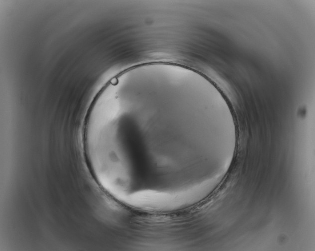 X0000100371291200807031853