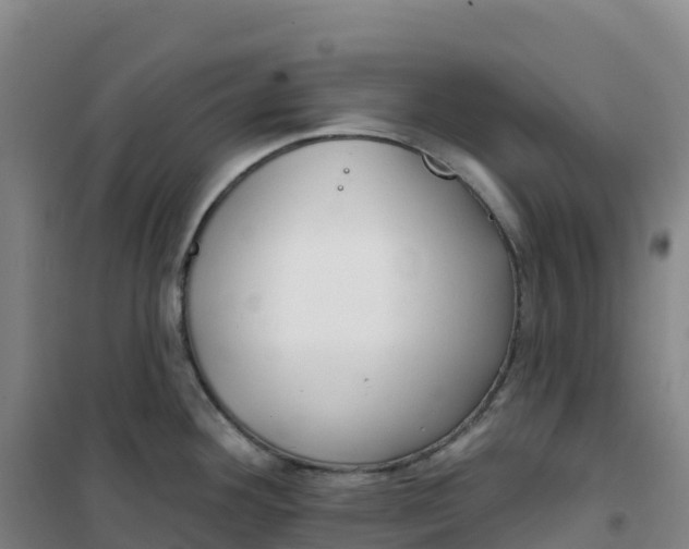 X0000100371292200807031853