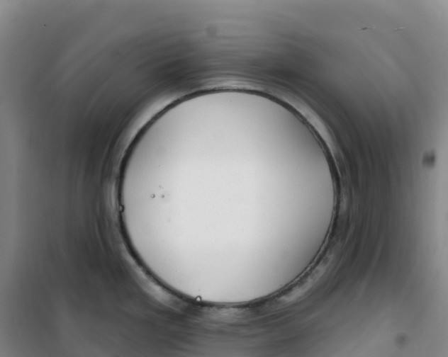 X0000100371293200807031853