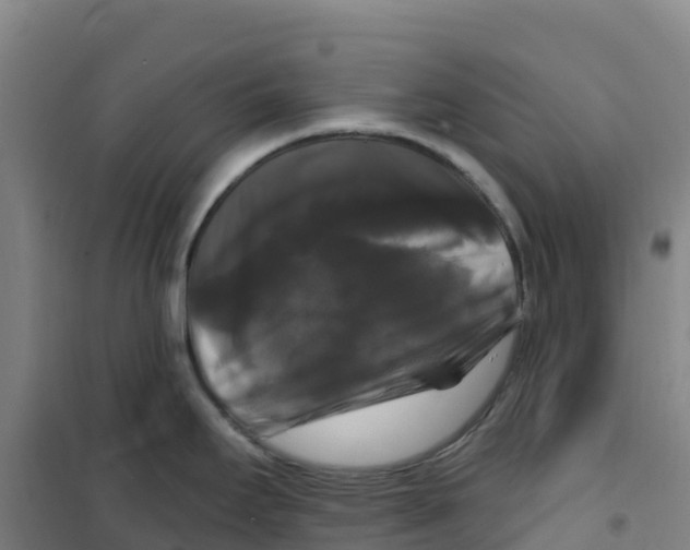 X0000100371295200807031853