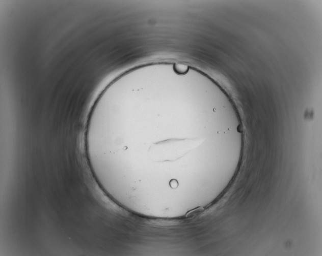 X0000100371296200807031853