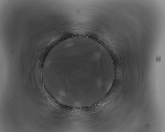 X0000100371297200807031852