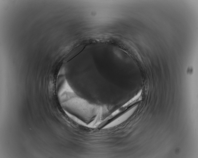 X0000100371298200807031852