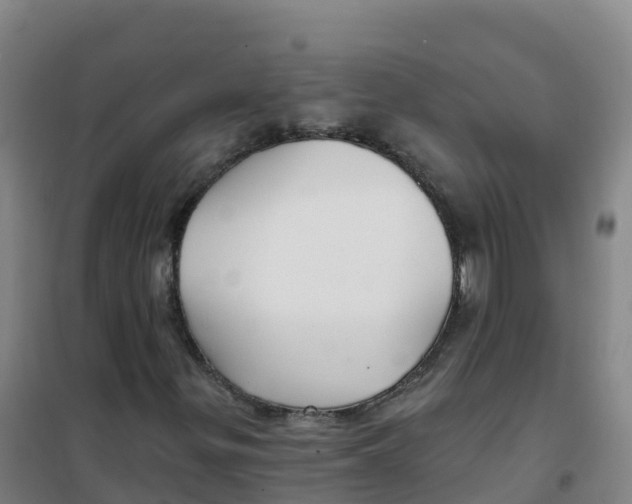 X0000100371299200807031852