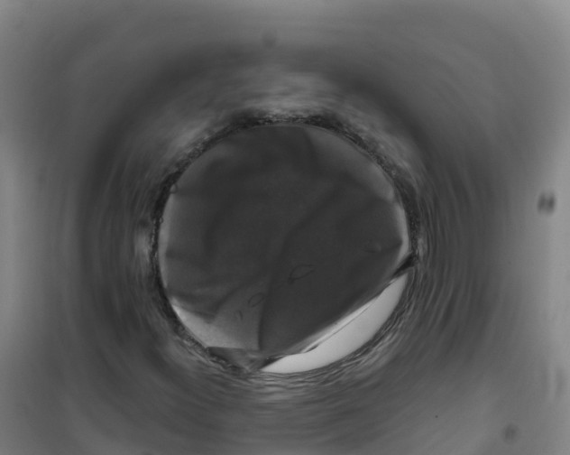 X0000100371300200807031852