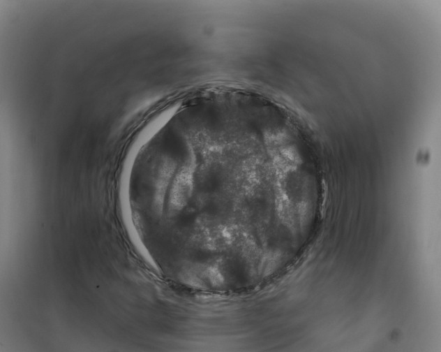 X0000100371302200807031852