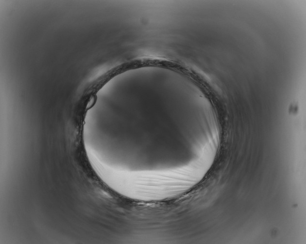 X0000100371303200807031852