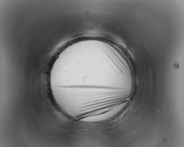 X0000100371304200807031852