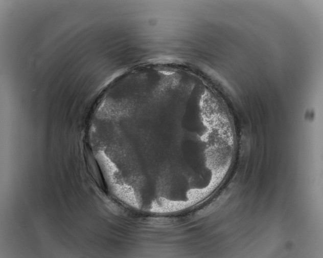 X0000100371305200807031852