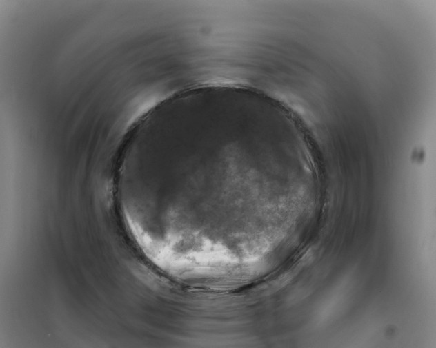 X0000100371306200807031852