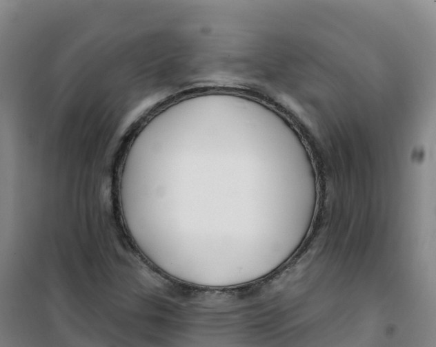 X0000100371307200807031852