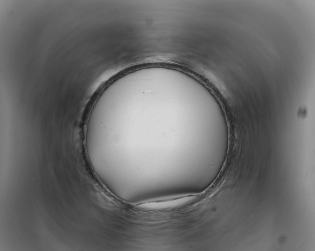 X0000100371308200807031852