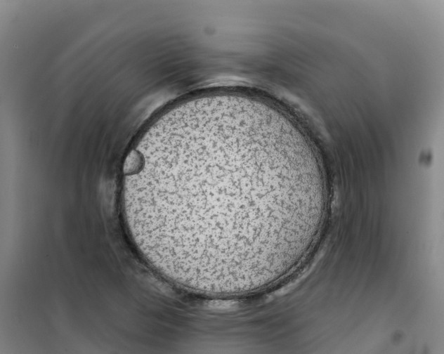 X0000100371313200807031853