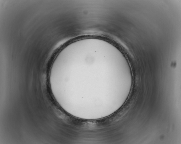 X0000100371315200807031853