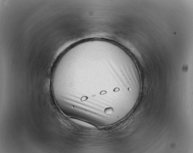 X0000100371316200807031853