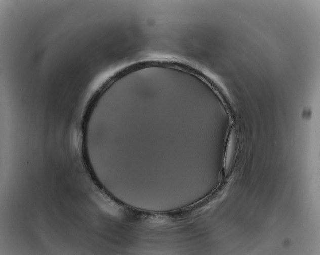 X0000100371319200807031853