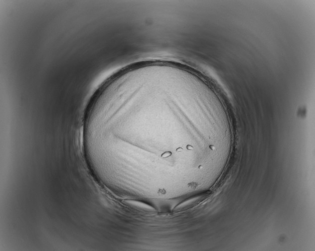 X0000100371320200807031853