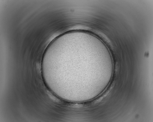 X0000100371321200807031853