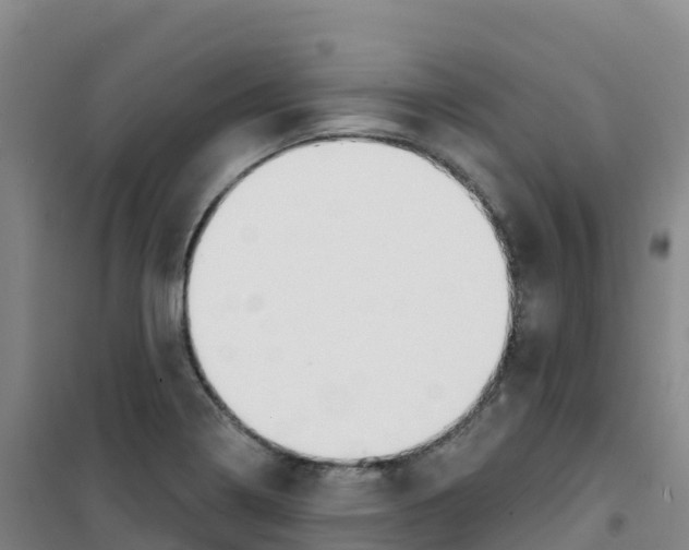 X0000100371322200807031853