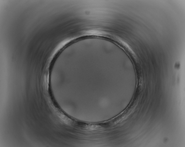 X0000100371323200807031853