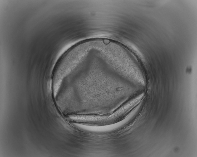 X0000100371324200807031853