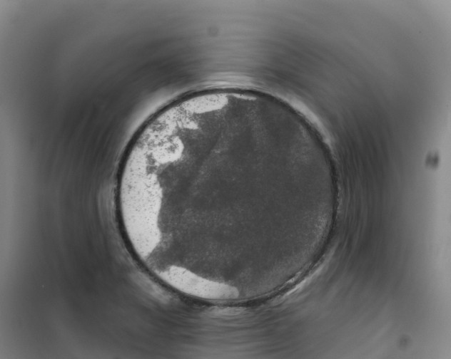 X0000100371325200807031853