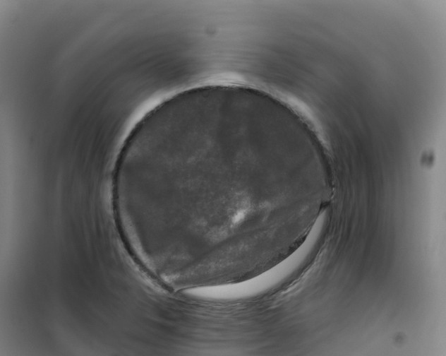 X0000100371326200807031853