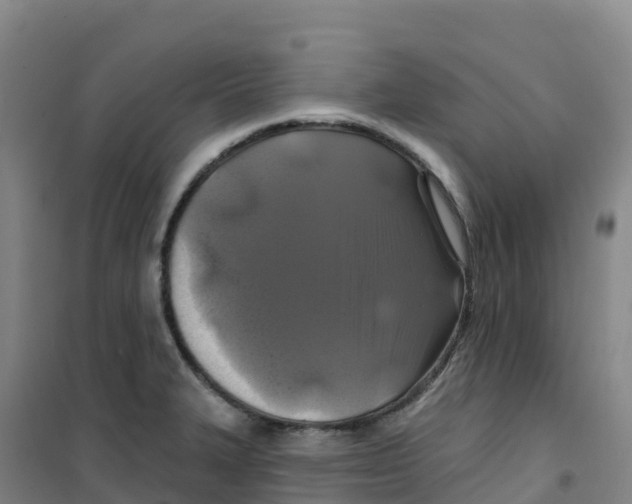 X0000100371327200807031853