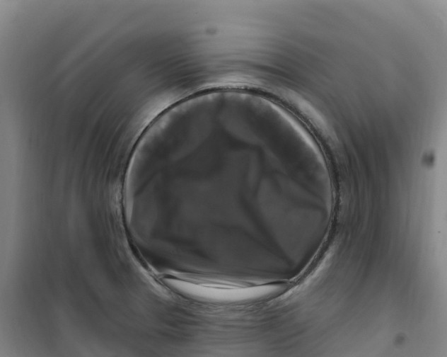 X0000100371329200807031853