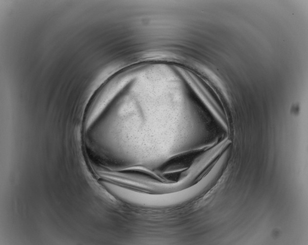 X0000100371330200807031853