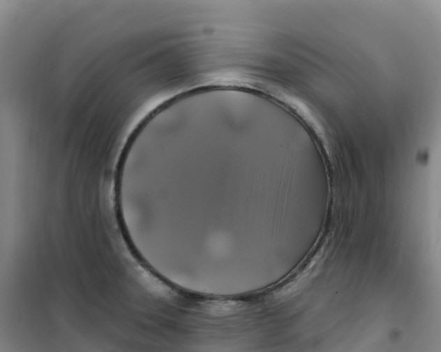 X0000100371331200807031853