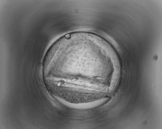 X0000100371332200807031853