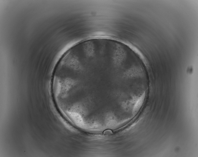 X0000100371333200807031853