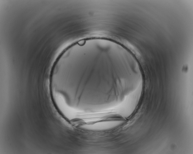 X0000100371334200807031853