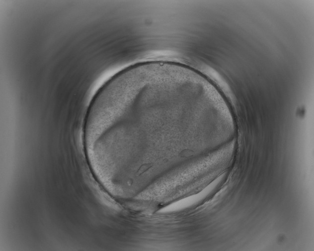 X0000100371336200807031853