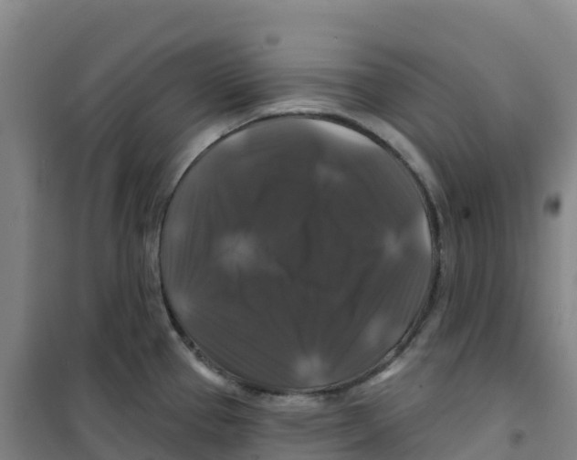 X0000100371337200807031853